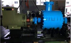 250KW Micro/Mini Condensing Steam Turbine